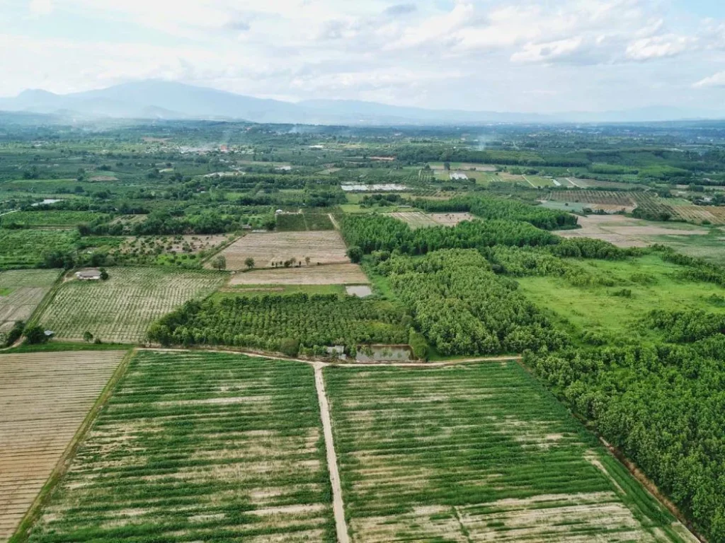 ขายที่ดิน 810ไร่ จเชียงใหม่ ที่ดินสวย พื้นที่ติดกันขนาดใหญ่