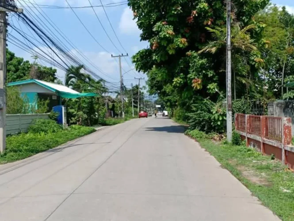 ขายที่ดินติดถนนซอย ห่างมหาวิทยาลัยแม่โจ้ 3 km