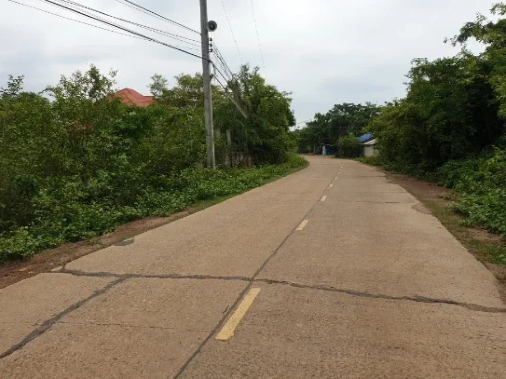 ขายที่ดินติดริมแม่น้ำมูล วิวสวย ใกล้ตัวเมือง มีถนนตัดผ่านที่ดินอยู่ จังหวัดอุบลราชธานี