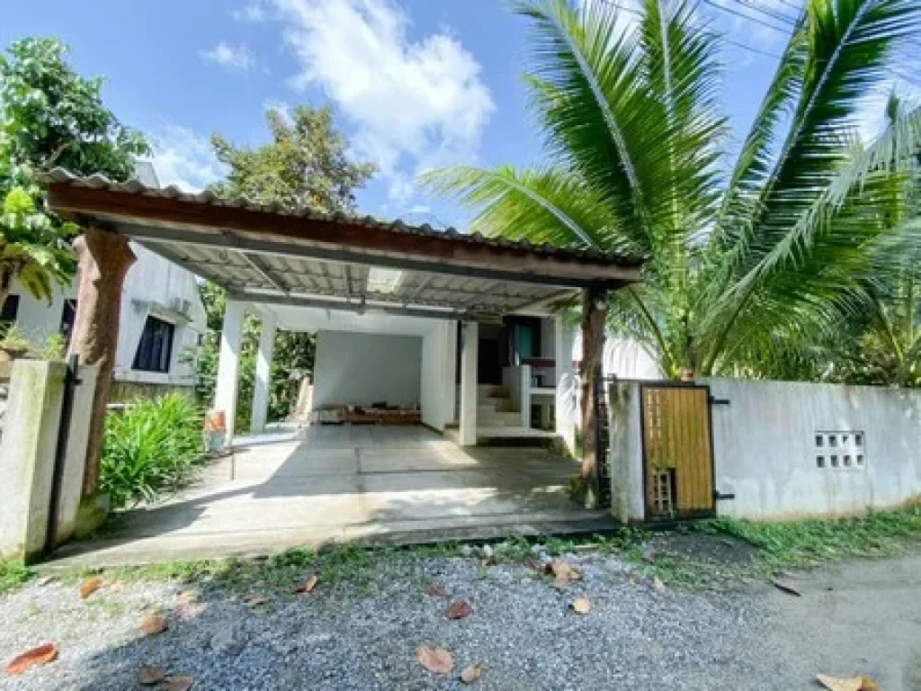 For Sale House in Koh Samui ขายบ้านเดี่ยว 2 นอน ตลิปะน้อย อเกาะสมุย สราษฎร์