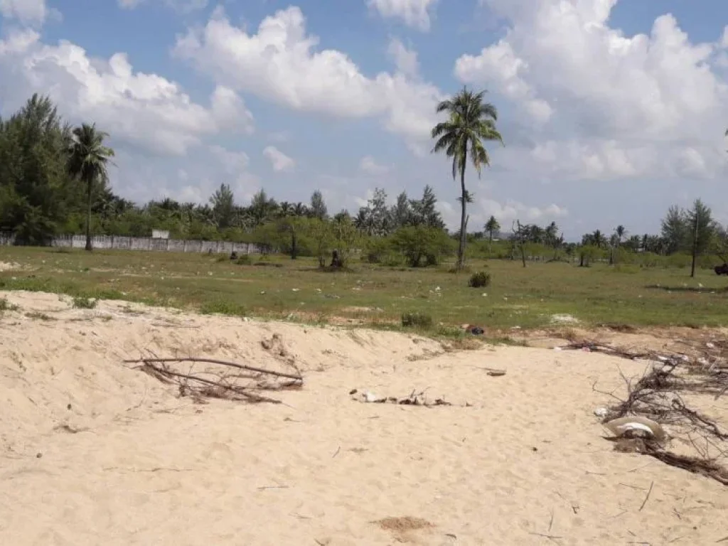 land for sale 11 Rai next to the sea at Bann Nam Kem ขายที่ดิน 11 ไร่ ติดชายทะเล บ้านน้ำเค็ม ตบางม่วง อตะก