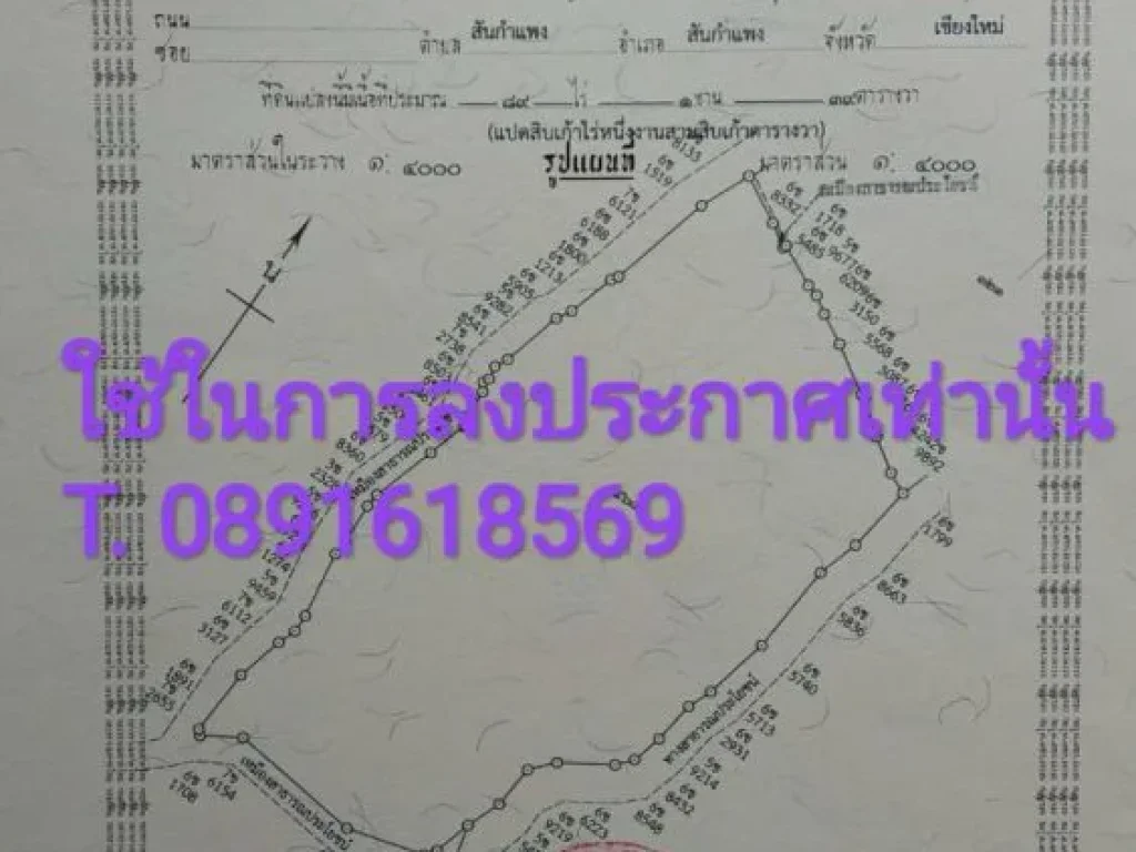 ที่ดินนามีโฉนด ตแม่ยางตาล อร้องกวาง จแพร่