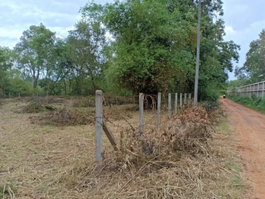 ขายที่ดินสวย หลังฟื้นฟูสุภาพขอนแก่น