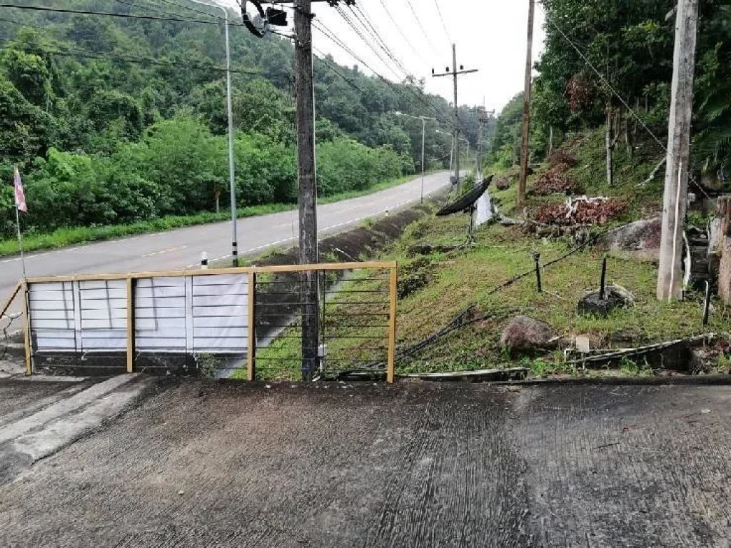 ขายที่ดินพร้อมบ้านพัก จำนวน 7 หลัง ติดถนนใหญ่ เกาะพะงัน สุราษฎร์ธานี