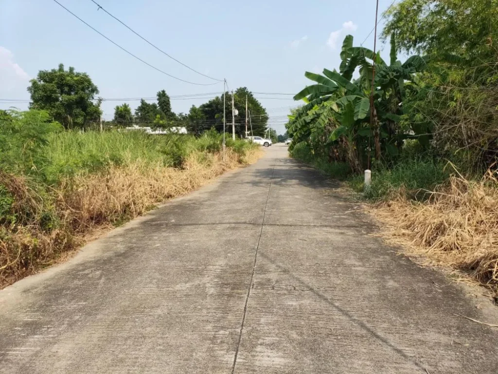 ขายที่ดิน 100 ตรว ตรงข้ามซสุสวาส 24 ซไสวประชาราษฎร์ 22 ถลำลูกกา คลอง 4 ปทุมธานี