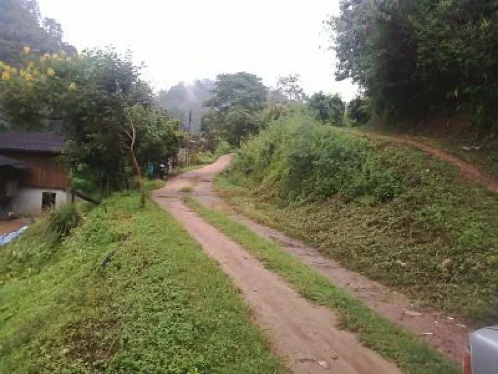 Lease Land on the Top Mountain View Called DOI with Wooden House Home stay