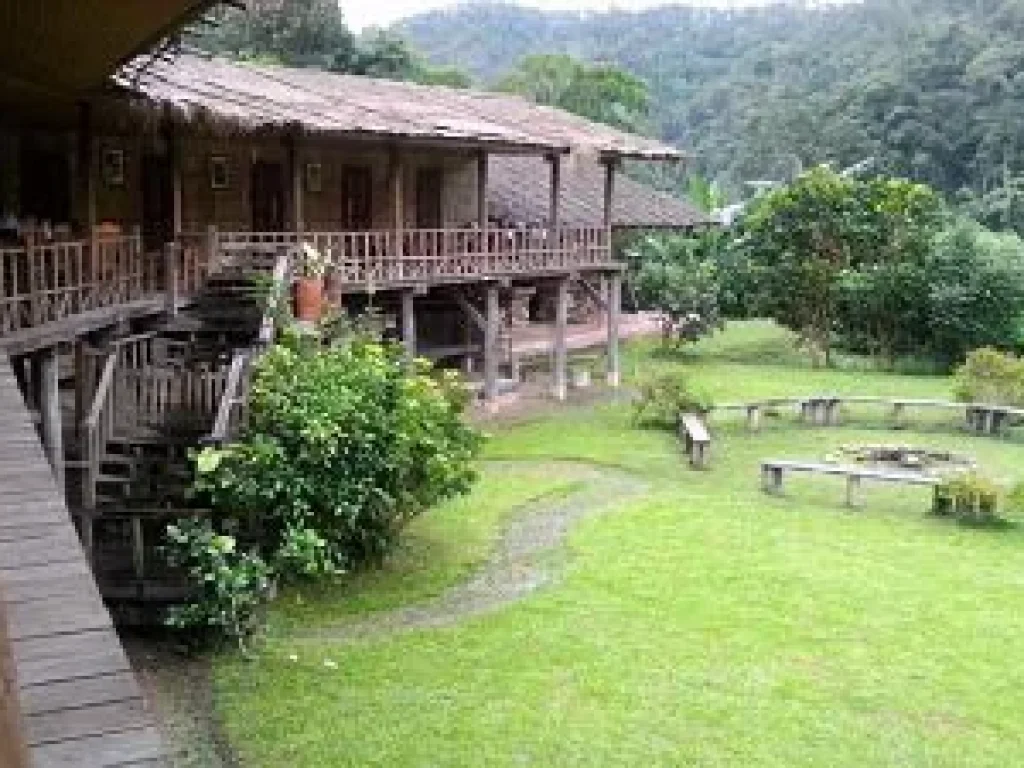 Lease Land on the Top Mountain View Called DOI with Wooden House Home stay