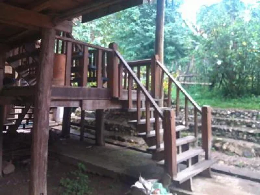 Lease Land on the Top Mountain View Called DOI with Wooden House Home stay