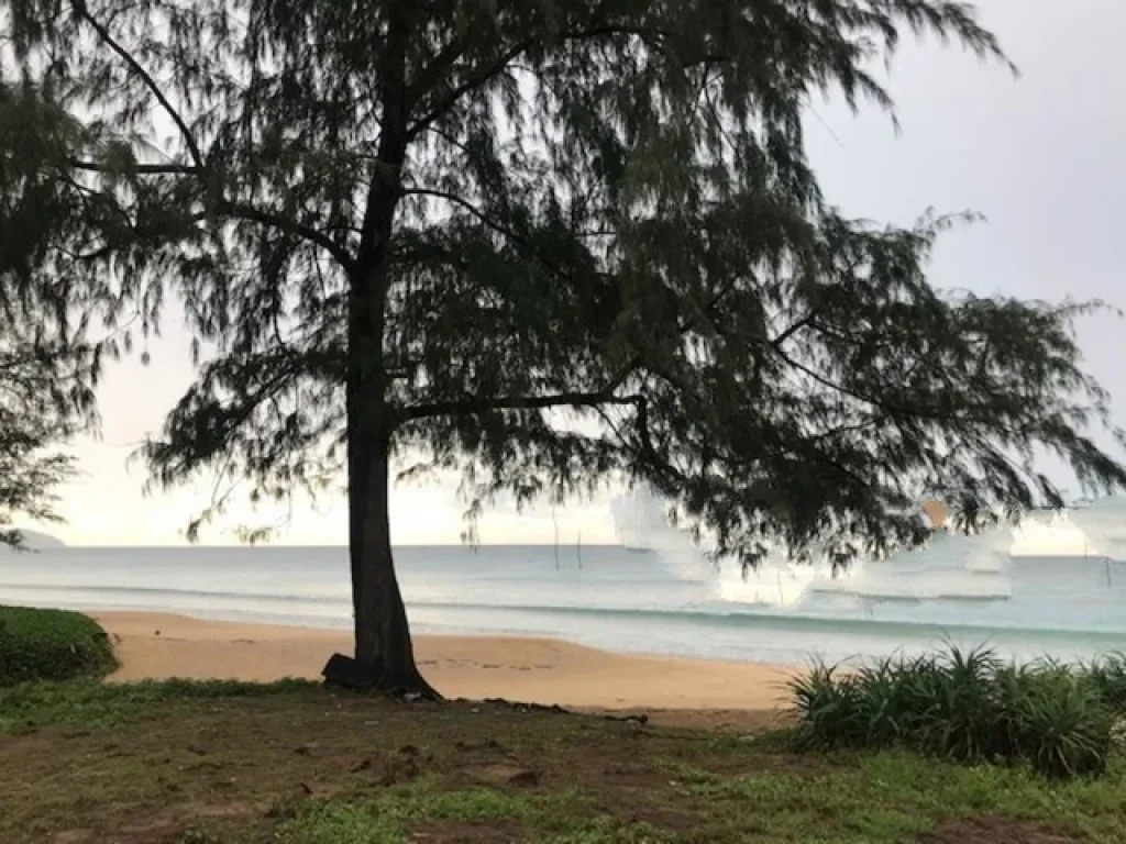 ขาย ที่ดินเปล่า ทำเลทอง หาดไม้ขาว ติดทะเลภูเก็ต ติดโรงแรม Holiday Inn Maikhao Phuket