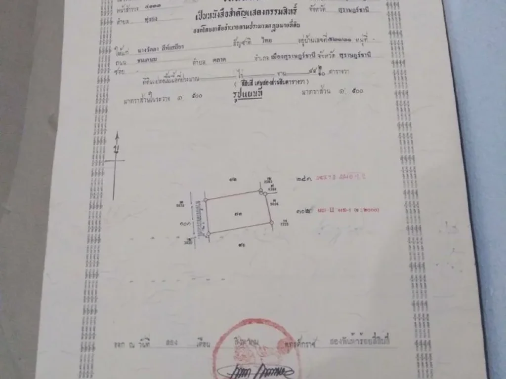 ขายที่ดิน 2 แปลงติดกัน 85 ตรว อกาญจนดิษฐ์ จสุราษฎร์ธานี