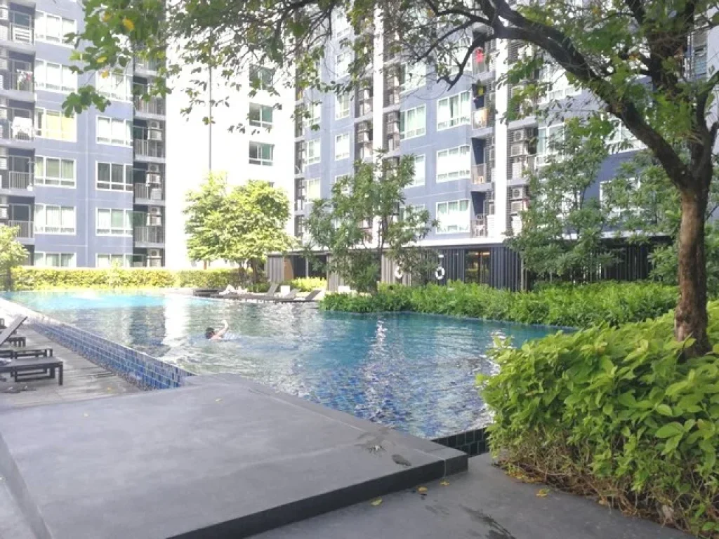 ขาย คอนโด เดอะ เบส สุขุมวิท 77 The Base Sukhumvit 77 ห้องสวย เฟอร์ครบ พร้อมอยู่