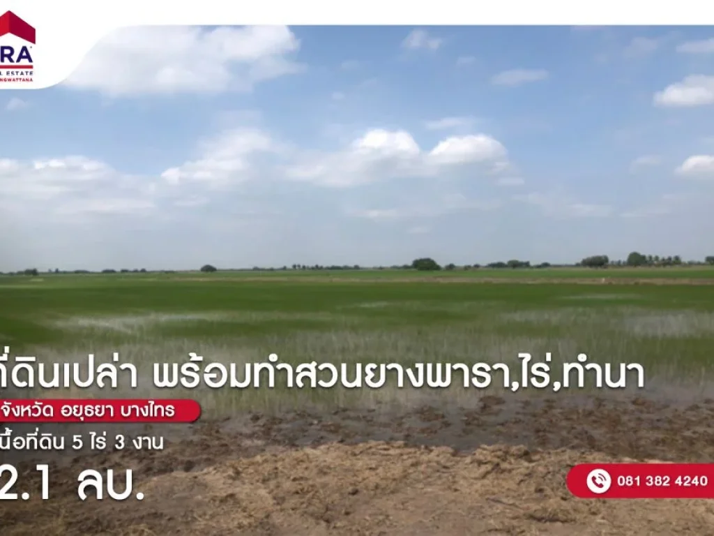 ขายที่ดิน 5 ไร่ 3 งาน 94 ตารางวา อบางไทร จ พระนครศรีอยุธยา พร้อมทำสวนยางพาราไร่ทำนา พร้อมผู้เช่า ใกล้สนามกอล์ฟบางไทร วัดคู้สลอด