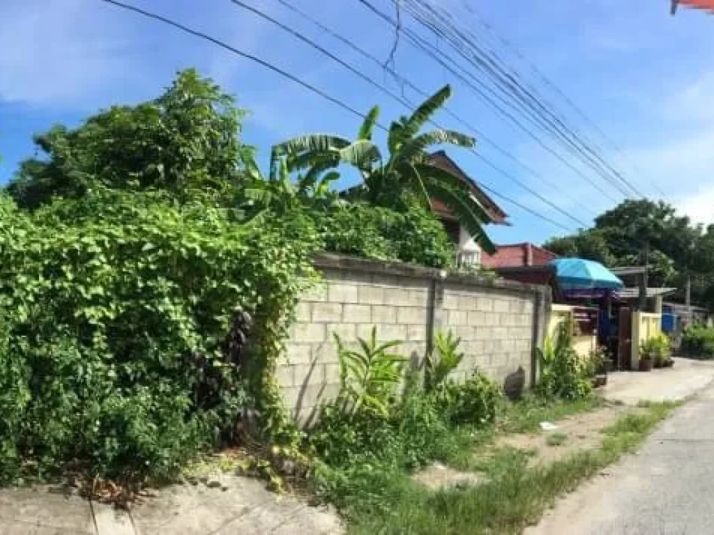 ขายที่ดินถนนวัวลาย หายยา อำเภอเมือง เชียงใหม่