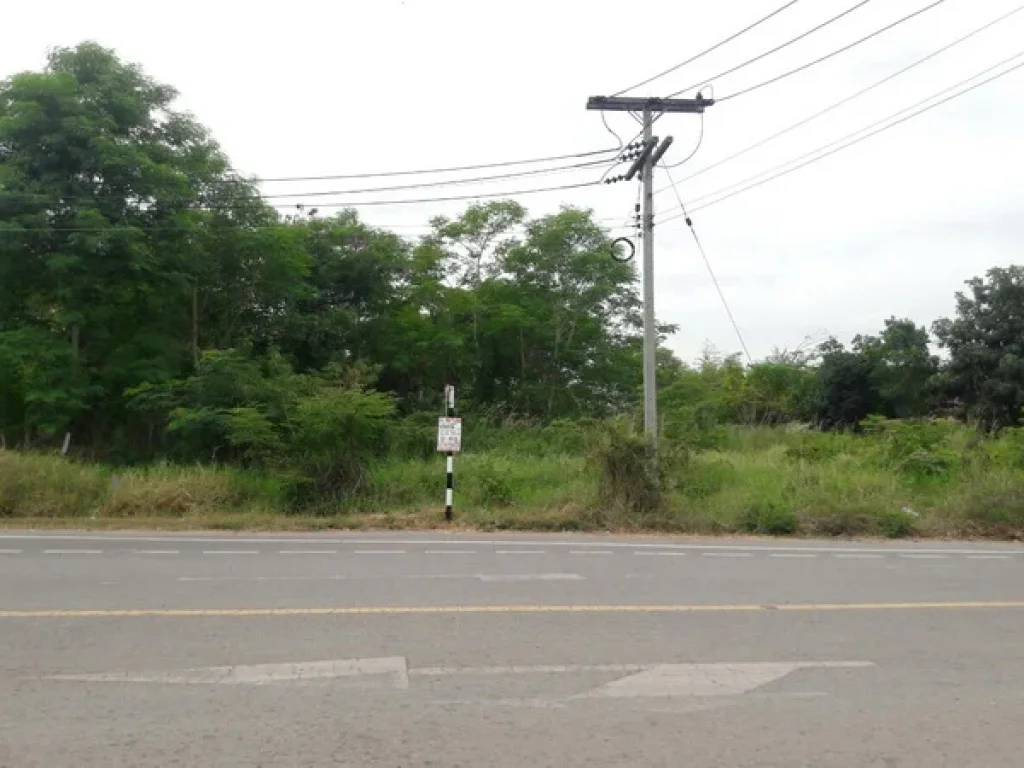 ขาย ที่ดิน แยกห้วยชง-หาดสวรรค์ ถนนอุดร-หนองบัวลำภู อเมือง จหนองบัวลำภู