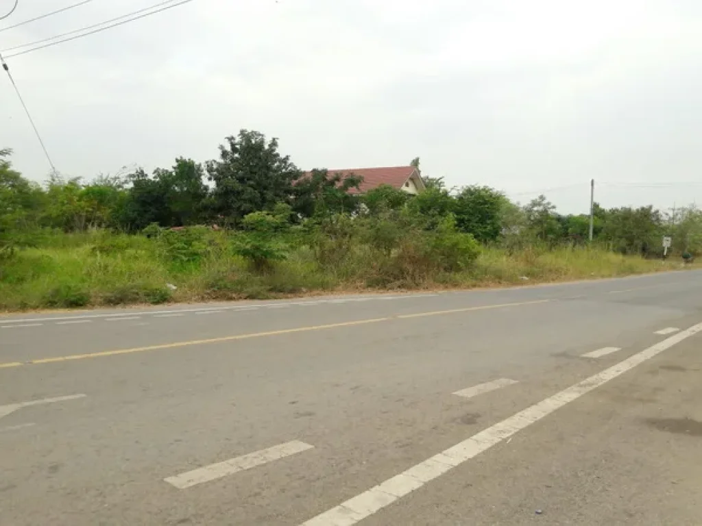 ขาย ที่ดิน แยกห้วยชง-หาดสวรรค์ ถนนอุดร-หนองบัวลำภู อเมือง จหนองบัวลำภู