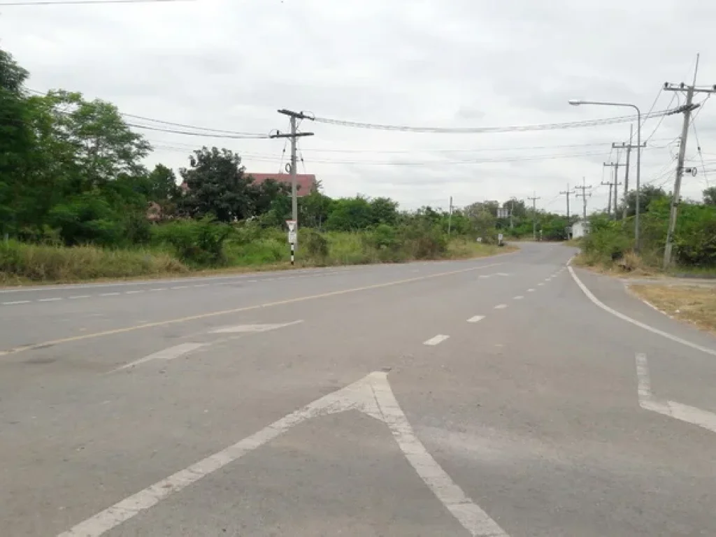 ขาย ที่ดิน แยกห้วยชง-หาดสวรรค์ ถนนอุดร-หนองบัวลำภู อเมือง จหนองบัวลำภู