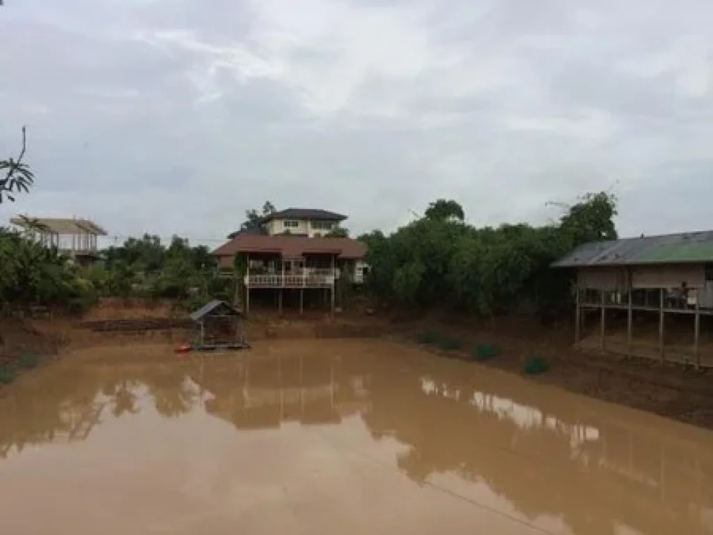 ขายที่ดินพร้อมสิ่งปลูกสร้าง บ้านพักอาศัย 3 ชั้น เนื้อที่รวม 2 แปลง 4 ไร่ 1 งาน 63 ตารางวา