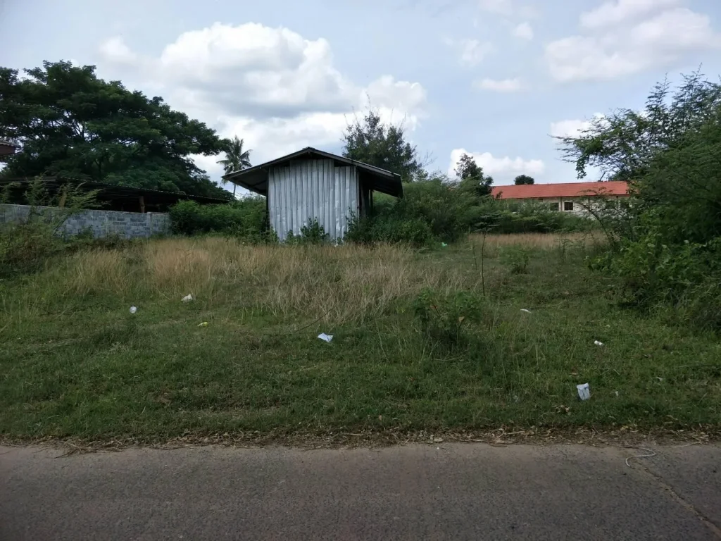 ที่ดินแปลงสวย 200 ตรว พิกัดบ้านท่าบ่อ อเมือง จอุบลฯ