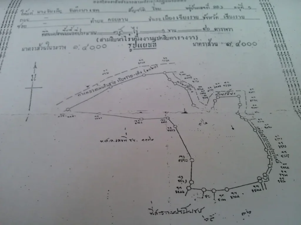 ขายสวนลำใย อเมือง จเชียงราย 35 ไร่