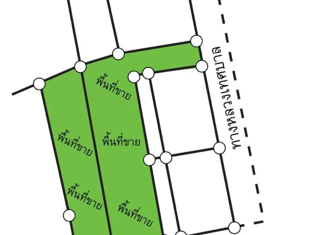 ขายที่ดิน 256 ตารางวา ซบ้านกล้วย 5