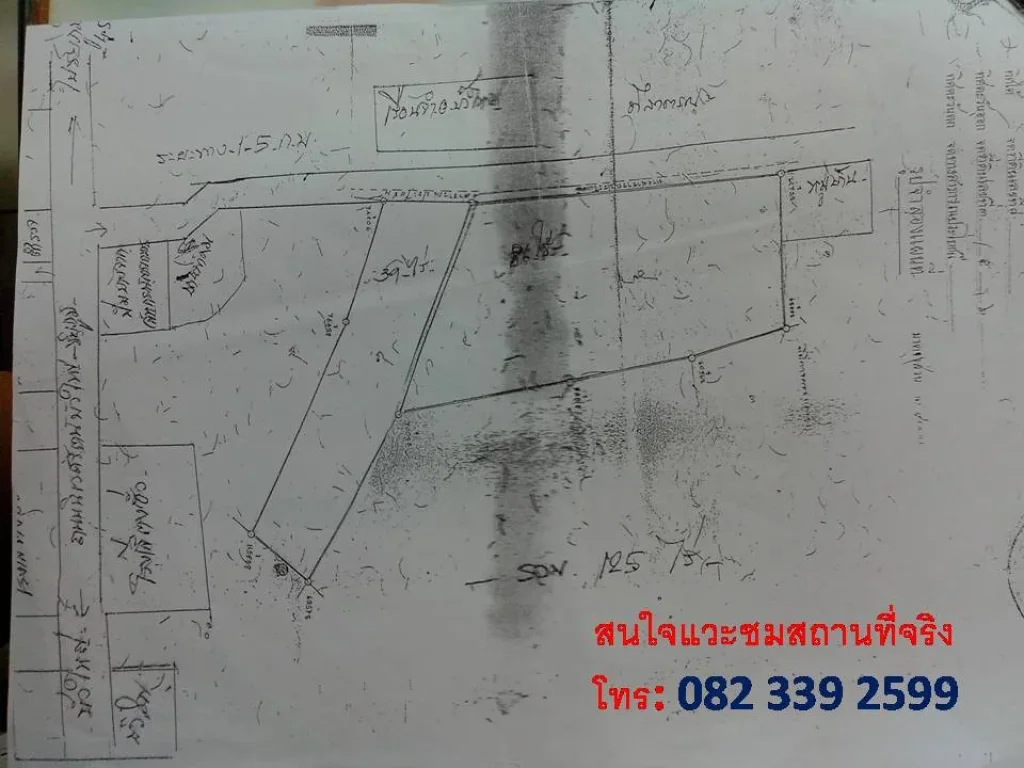 ที่ดิน125ไร่ ถนนบัวใหญ๋-ชัยภูมิ