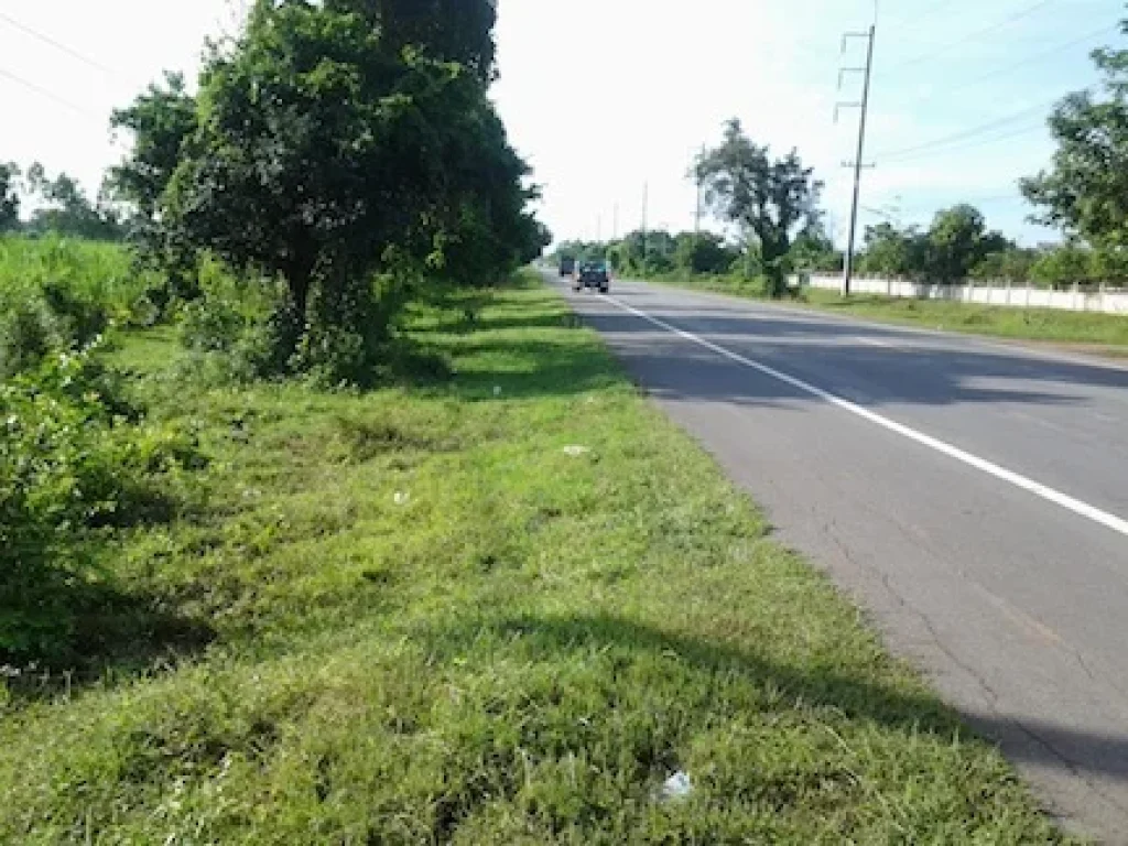 ขายด่วน 19 ไร่ติดถนนบัวใหญ่-ชัยภูมิรถไฟฟ้า-จังหวัดใหม่-4เลนปี57