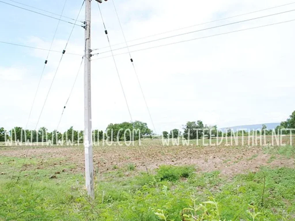 ขายที่ดิน 29 ไร่เศษ โฉนด ตคลองเกตุ อโคกสำโรง จลพบุรี รหัส 1600