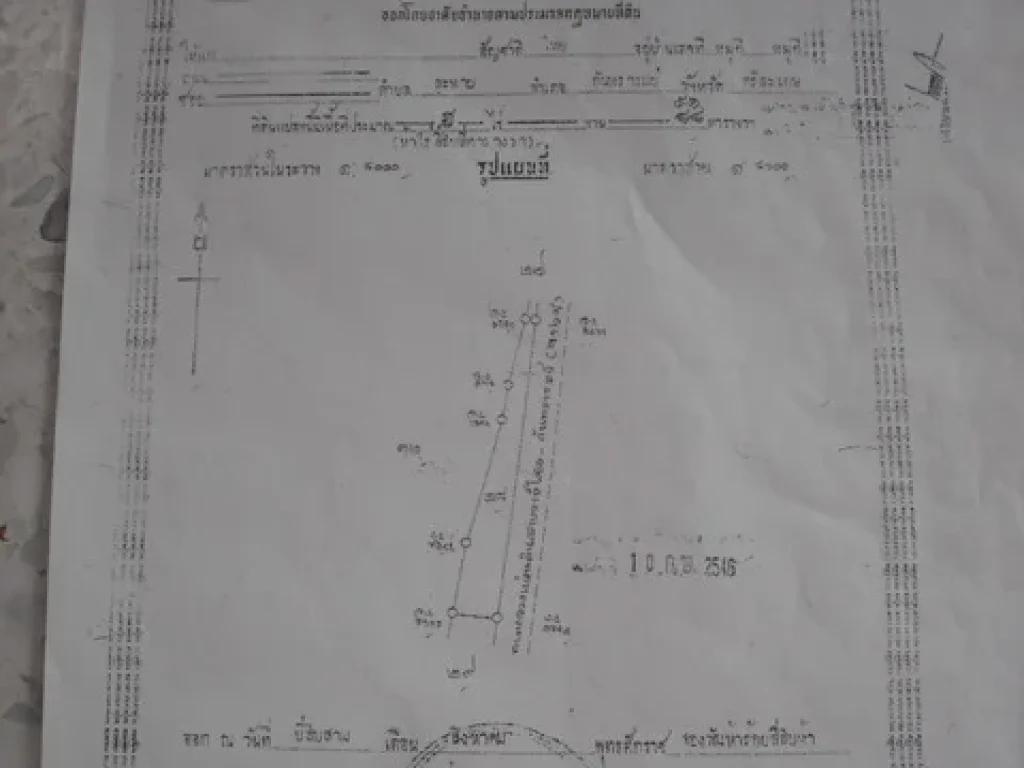 ขายที่นา 4 ไร่ 31 ตรวติดถนนทางหลวงสายราศีไศล-กันทรารมย์