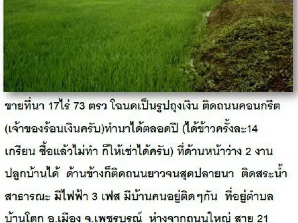 ขายที่นา 17ไร่ 73 ตรว โฉนด ติดถนนคอนกรีต เจ้าของร้อนเงินครับทำนาได้ตลอดปี ได้ข้าวครั้งละ14 เกรียน