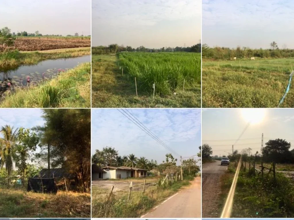 ที่ดินโฉนดติดถนนลาดยางหลังติดลำห้วยน้ำพร้อมสวนไผ่ลวกหวานที่ดินมี 19 ไร่