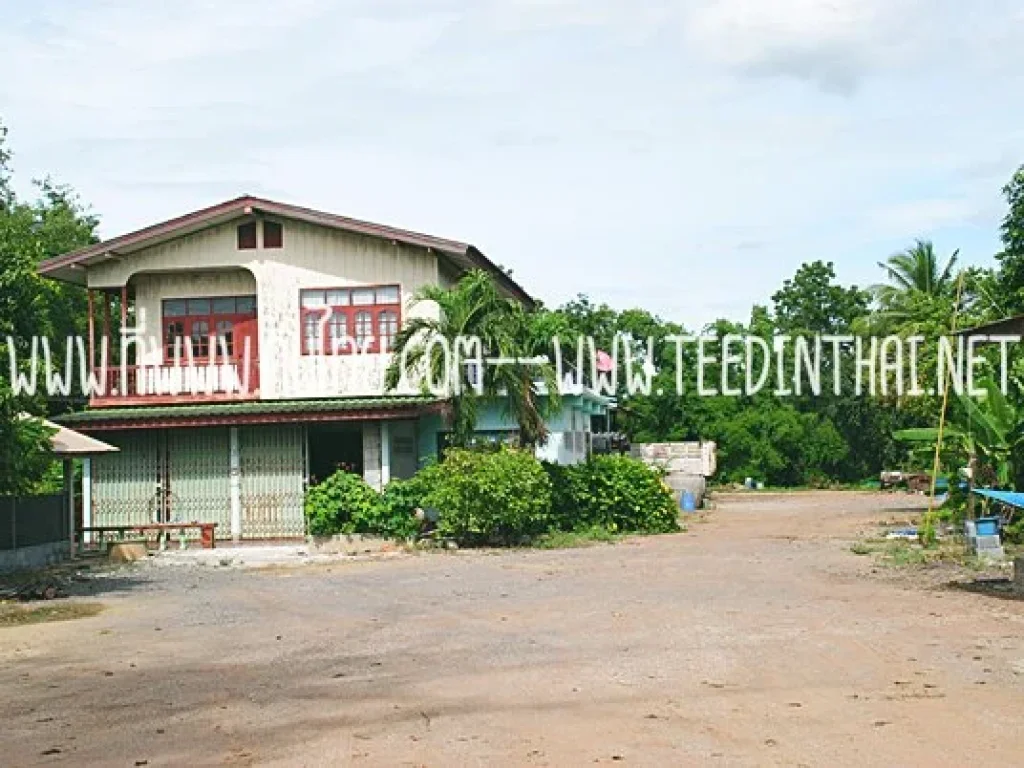 ขายที่ดินวิเชียรบุรี - ที่ดินไทย 15 ไร่เศษ โฉนด ตพุขาม อวิเชียรบุรี จเพชรบูรณ์ รหัส 1620