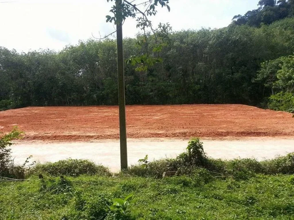 ขายที่ดิน โฉนดขนาด 1 ไร่ 343 ตรว ติดถนนดำ 25 กม ถึงหาดในทอน ภูเก็ต