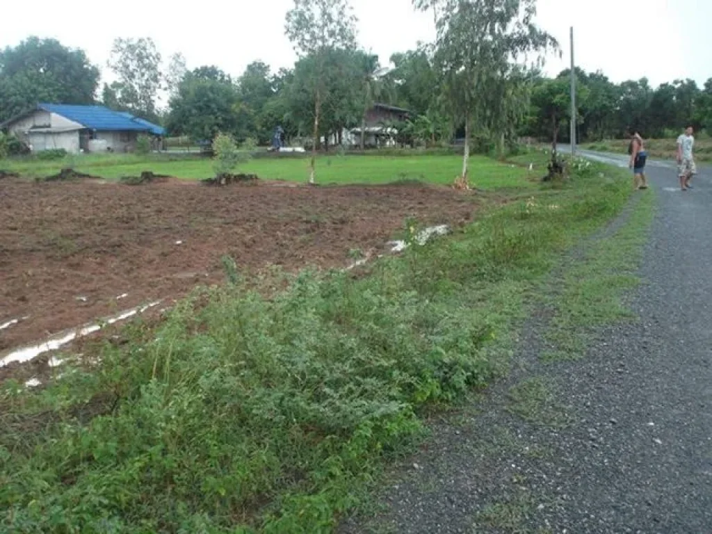 ขายที่ดิน2 ไร่ 32 ตรว เหมาอยู่ที่ 300000 บาท เป็นโฉนด