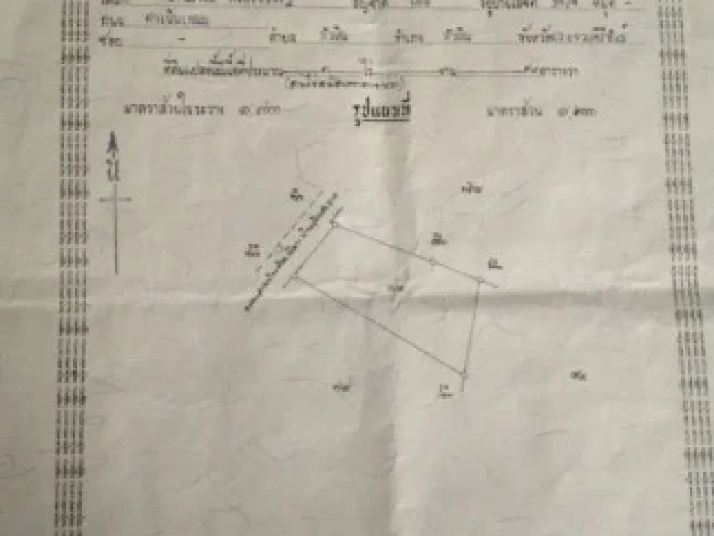 ขายที่โฉนด 3 ไร่ 36 ตารางวา อยู่ในเขตพญาเม็งราย อเทิง จเชียงราย