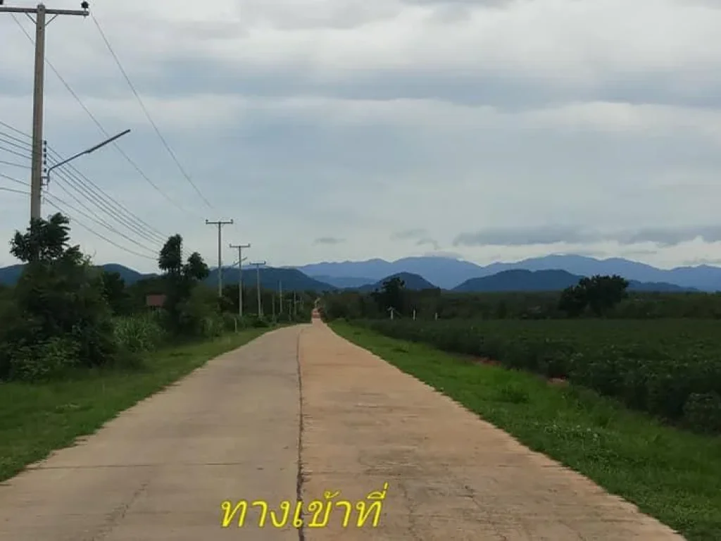 ที่โฉนด 49-1-86 ไร่ ติดถนนไฟฟ้า ปะปาผ่าน