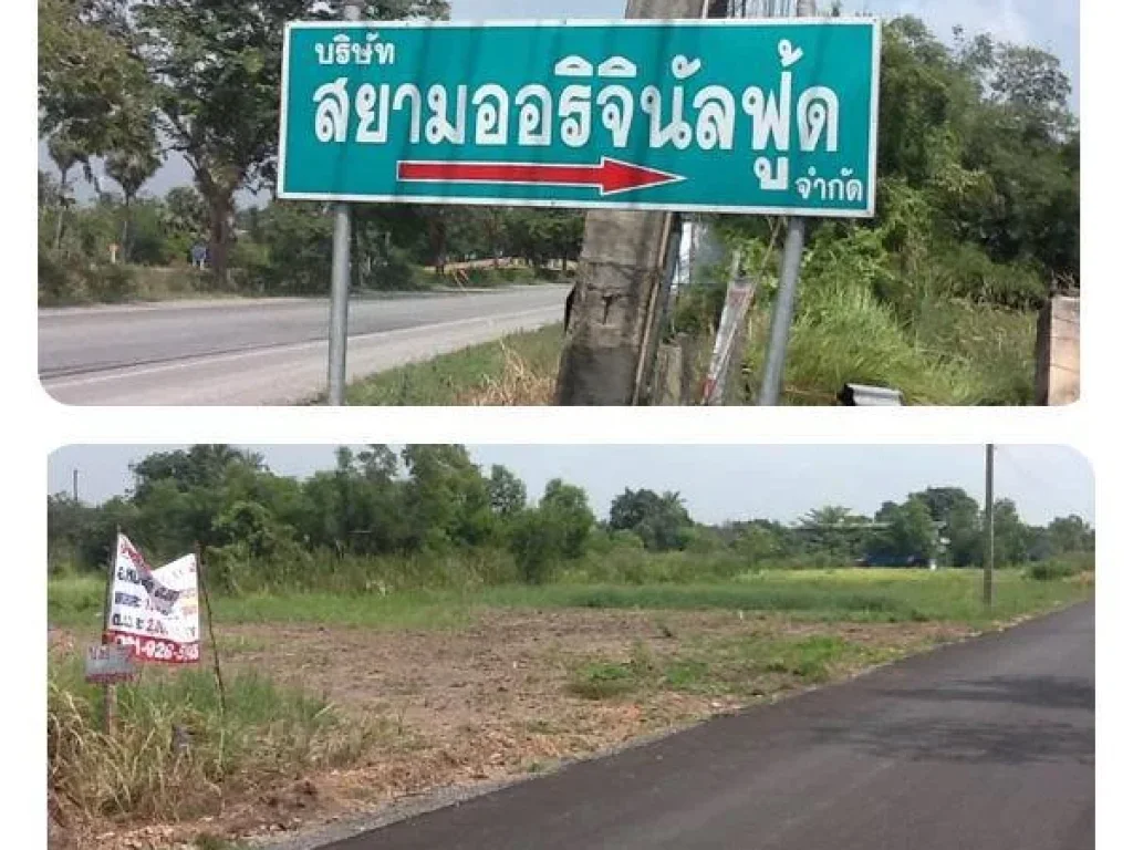 ขายที่ดิน อหนองเสือ จปทุมธานี คลอง10-11-12