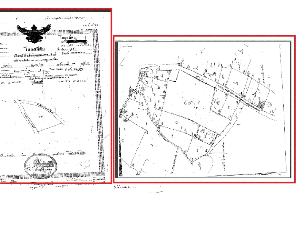 ขายที่ราคาถูกด่วน 60ไร่และ 17_2_80ไร่