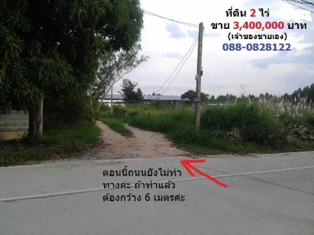 ขายที่ดิน 2 ไร่ หนองแขวะ