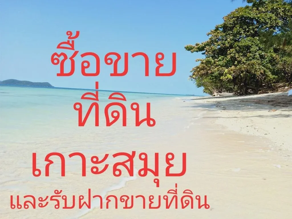 รับซื้อขายที่ดินและรับฝากขายที่ดินบ้านคอนโดอื่นๆในเกาะสมุยทั่วประเทศ