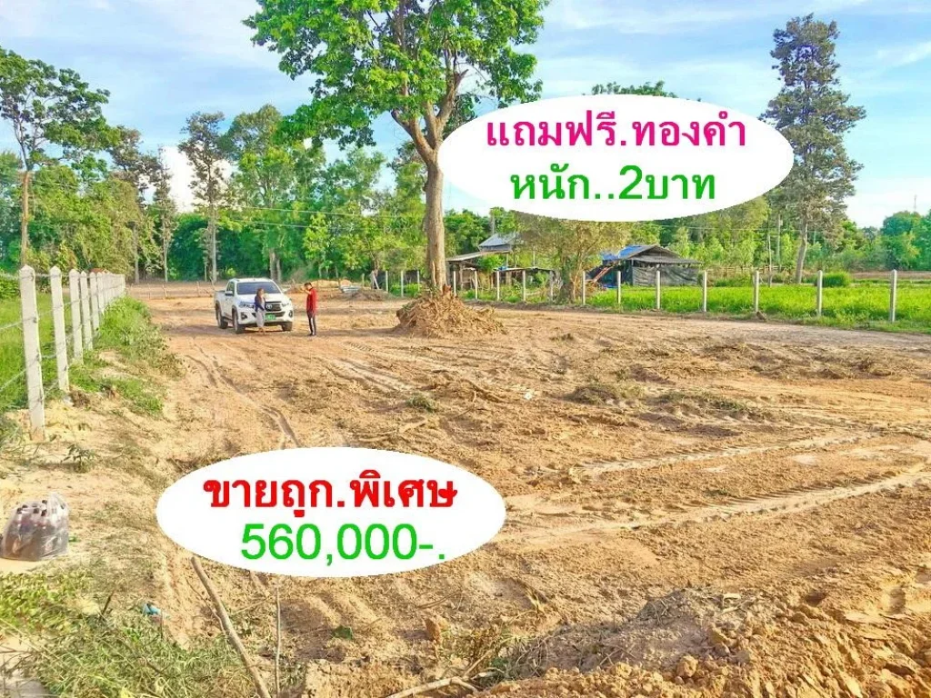 ขายถูก 1-1-28ไร่ เพียง560000- ยกแปลง พิเศษแถมฟรี ทองคำ