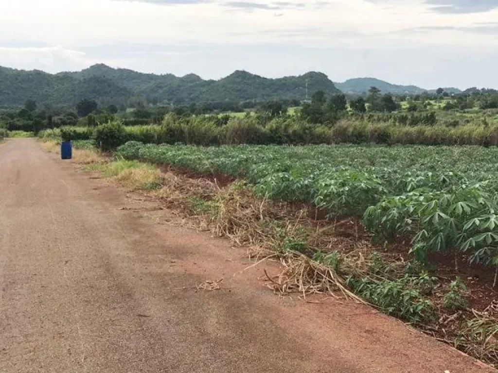 ที่ดินบนเนินสูง ปากช่อง เขาใหญ่ 1ไร่ วิวภูเขาพาโนราม่า โฉนดพร้อมโอน