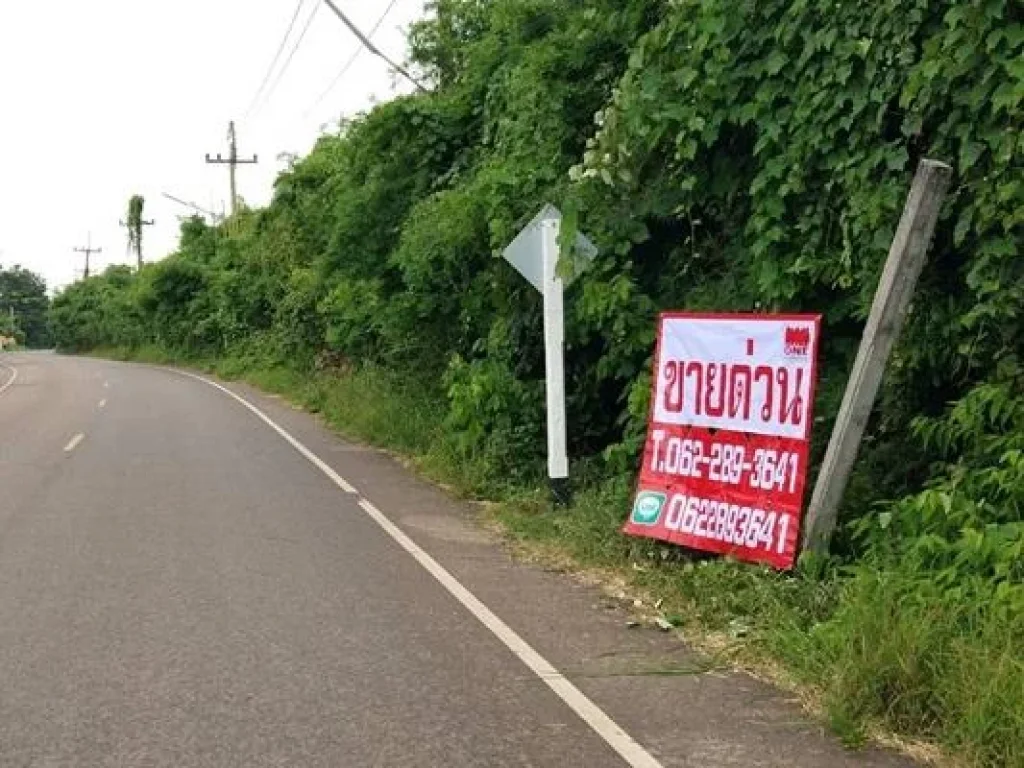 ขายที่ดิน อำเภอเมืองปราจีนบุรี 19ไร่ 3 งาน