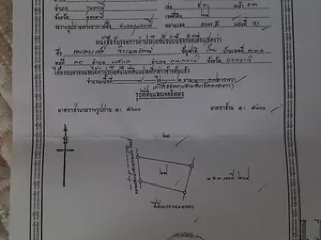 ขายที่ติดริมแม่น้ำปาว ใบ นส3ก 9ไร่ 2 งาน