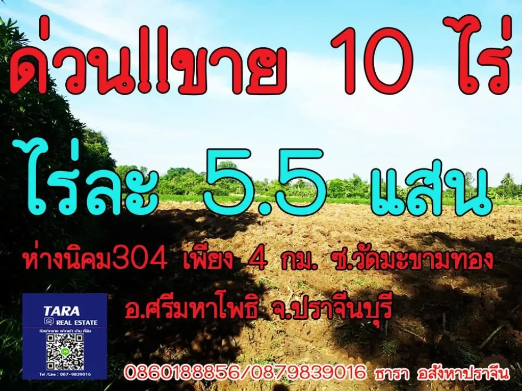 ขายที่ดิน 10 ไร่ เศษ ราคาไร่ล่ะ 55 แสน พิกัด ซวัดมะขามทอง ห่างถนน 4 เลน เส้น 3079 เพียง 1 กม