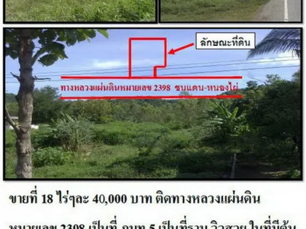 ขายที่ 18 ไร่ละ 40000 บาท ติดถนนลาดยาง