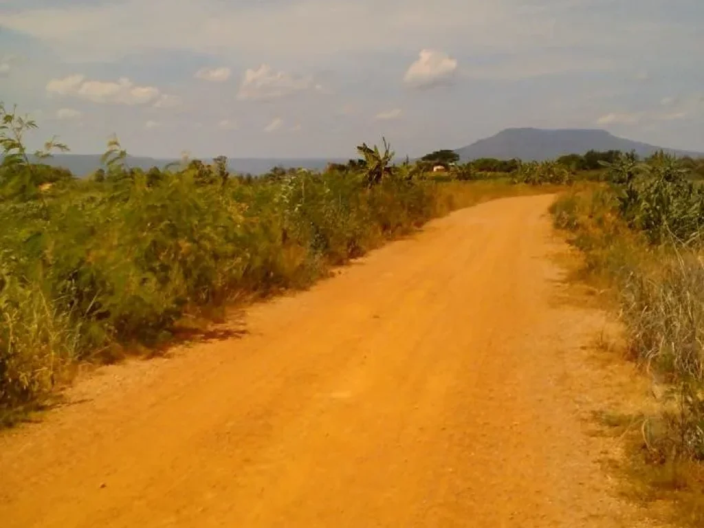 ขายที่ดิน18 ไร่ใกล้สถานปฏิบัติธรรมและนํ้าตก