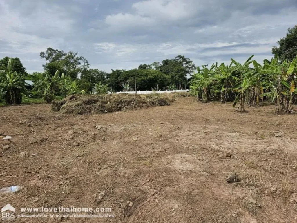 ขายที่ดินเปล่า ในตัวเมืองปราจีนบุรี ถทางหลวงชนบท ปราจีนบุรี