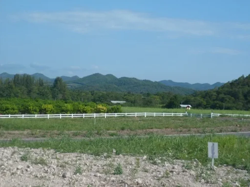 ขายที่ดินจัดสรร บนเนินเขา อปากช่อง จนครราชสีมา