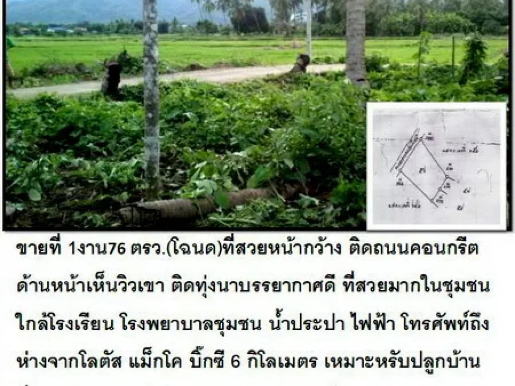 ขายที่ 1งาน76 ตรวโฉนด ด้านหน้าเห็นวิวเขา ติดทุ่งนา