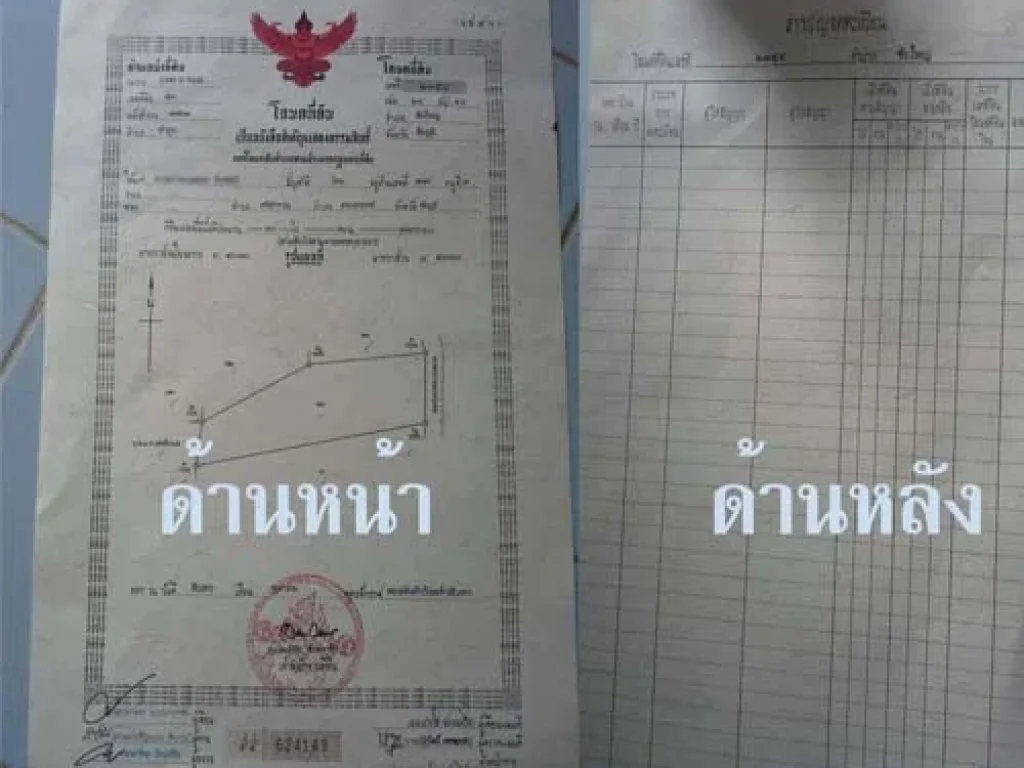 ด่วนเจ้าของร้อนเงิน ที่ดินสวยพร้อมโฉนด 30 ไร่ที่อซับใหญ่ ติดต่อเจ้าของที่โดยตรง